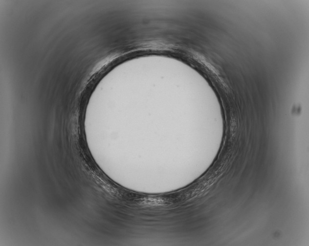 X0000096641315200803041117