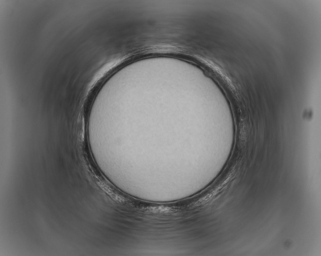 X0000096641317200803041117