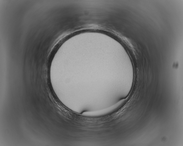 X0000096641318200803041117