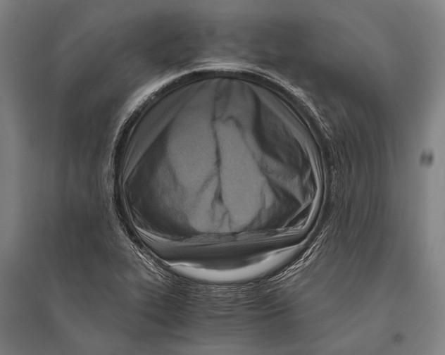 X0000096641319200803041117