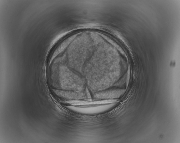 X0000096641320200803041117