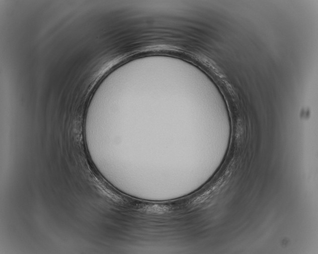 X0000096641321200803041117