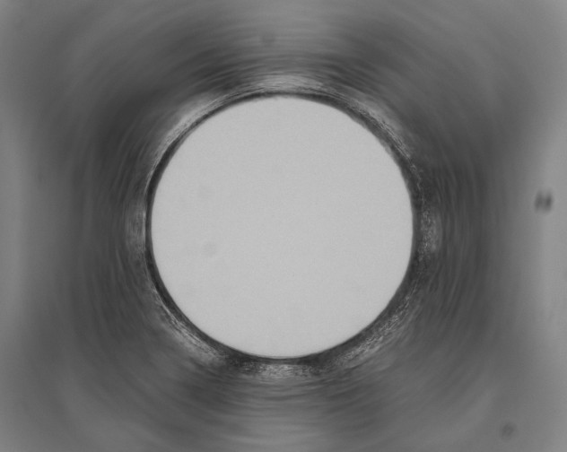 X0000096641322200803041117