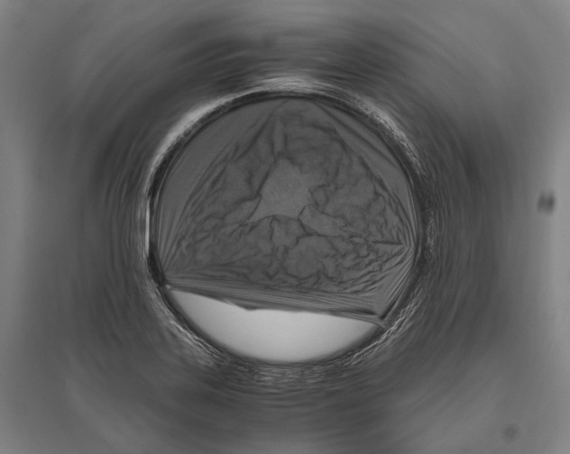 X0000096641323200803041117