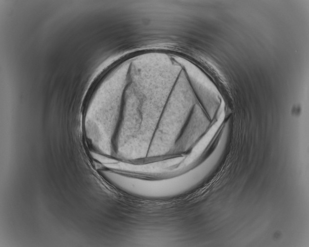 X0000096641324200803041117