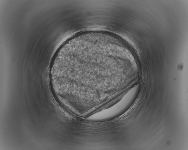 X0000096641325200803041117