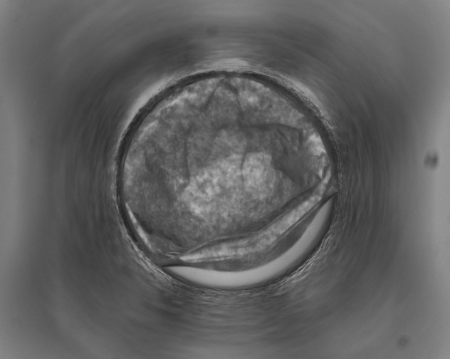 X0000096641326200803041117