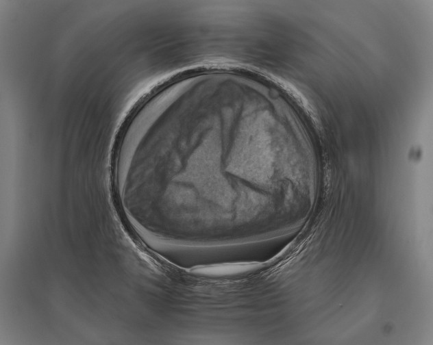 X0000096641327200803041117