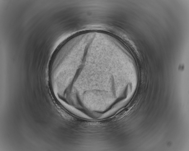 X0000096641328200803041117