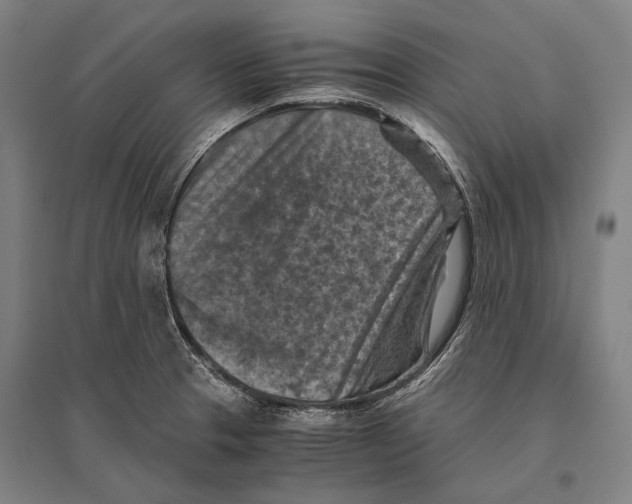 X0000096641329200803041117