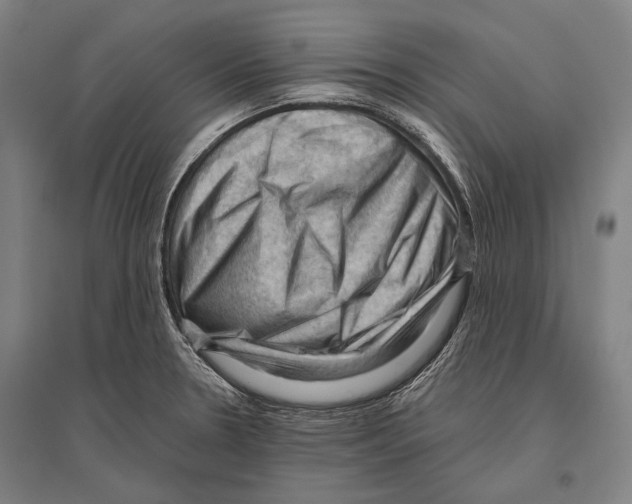 X0000096641330200803041117