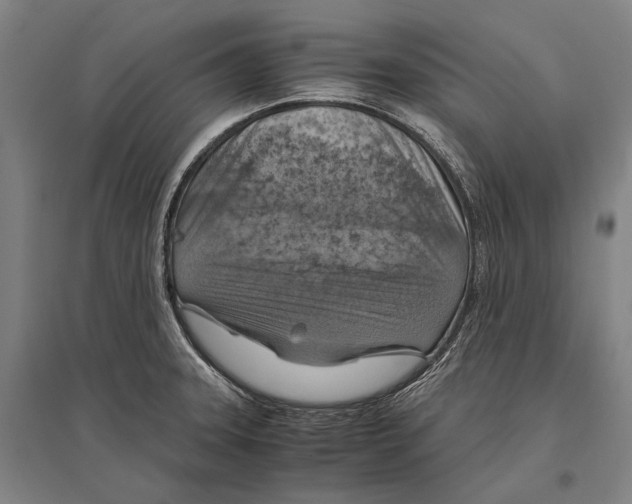 X0000096641331200803041117