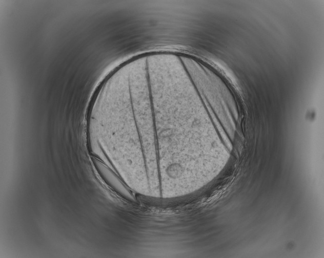 X0000096641332200803041117