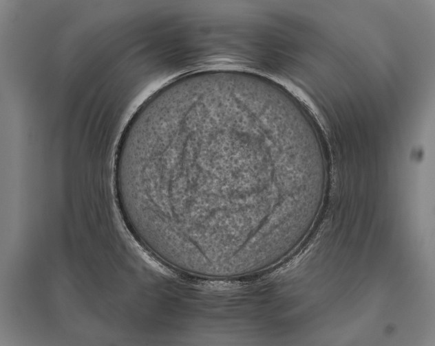 X0000096641333200803041117