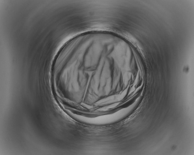 X0000096641334200803041117