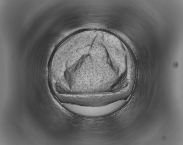 X0000096641335200803041117