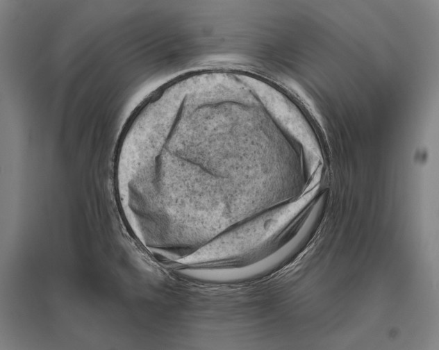 X0000096641336200803041118