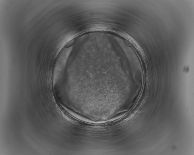 X0000096641337200803041118