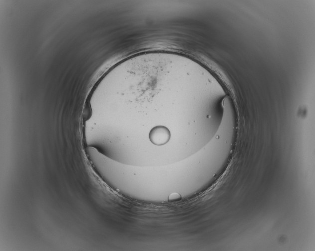 X0000096641338200803041118