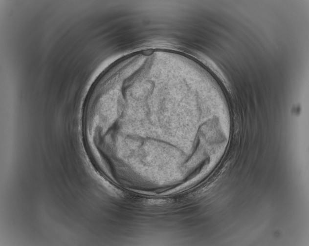 X0000096641339200803041118