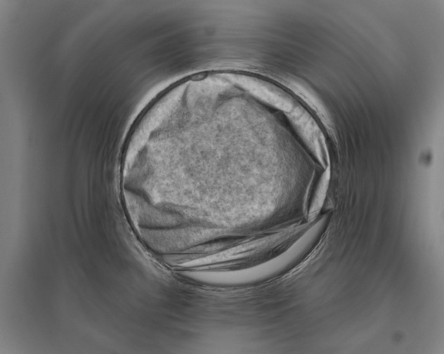 X0000096641340200803041118