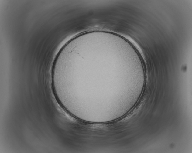 X0000096641341200803041118