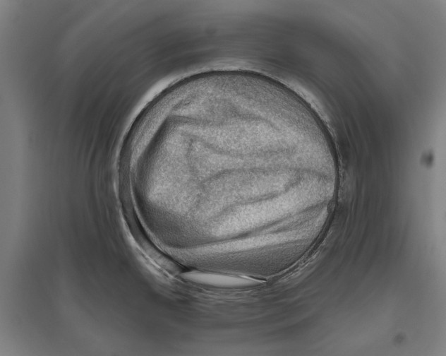 X0000096641342200803041118