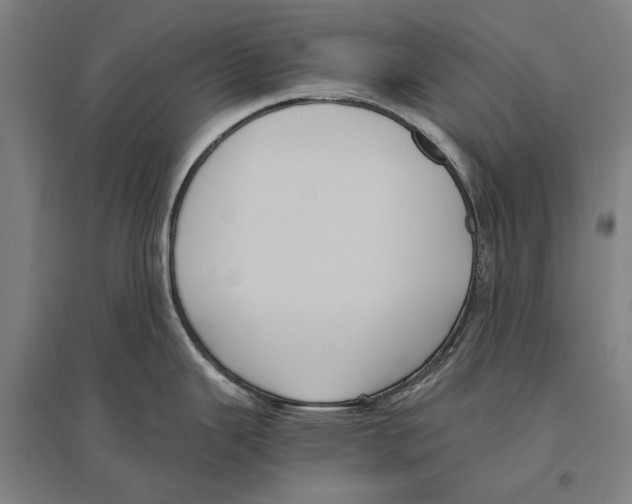 X0000096641343200803041118