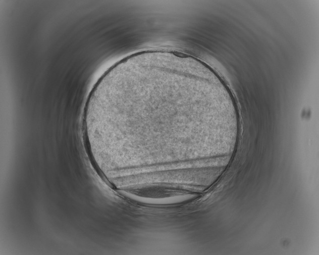 X0000096641344200803041118