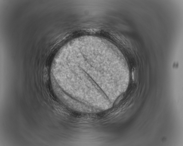 X0000096641347200803041117