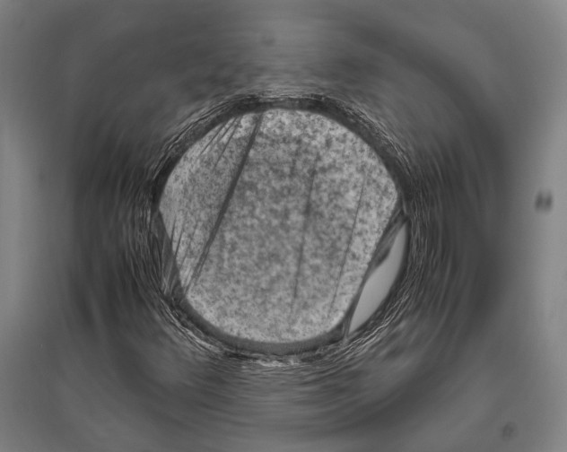 X0000096641348200803041117