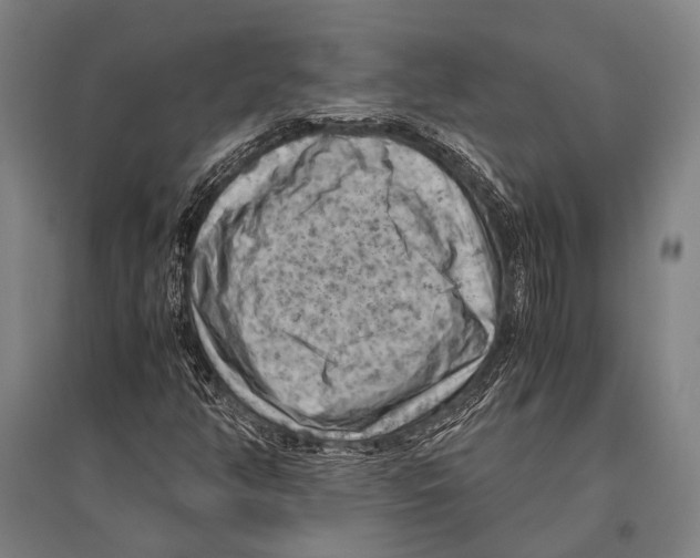 X0000096641350200803041117