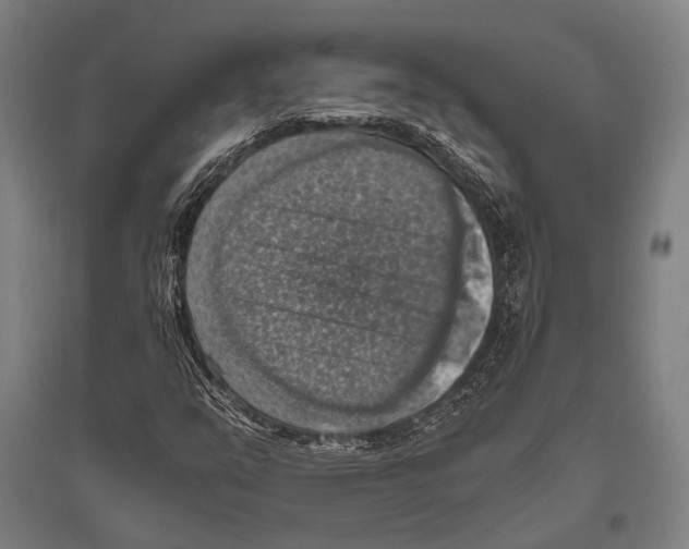 X0000096641351200803041117