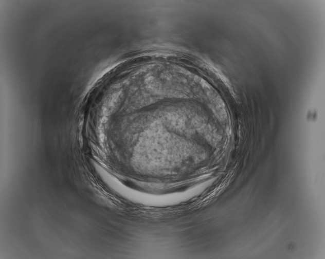 X0000096641352200803041117