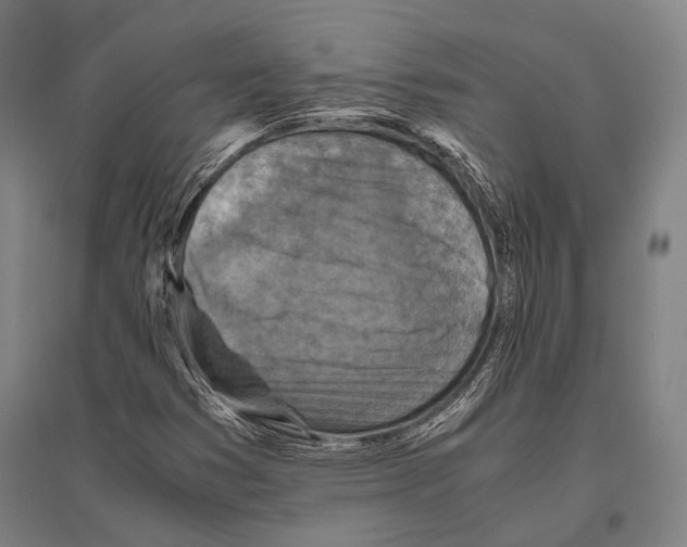 X0000096641353200803041117