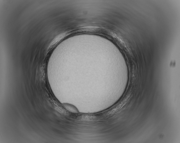 X0000096641354200803041117