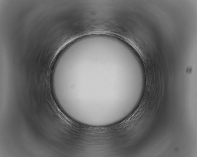 X0000096641356200803041117