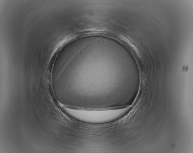 X0000096641357200803041117