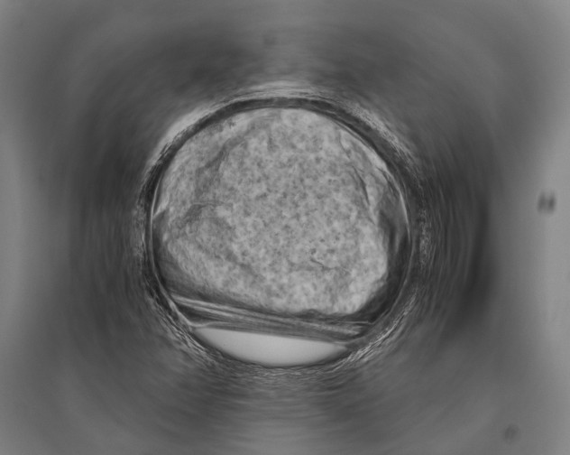 X0000096641358200803041117