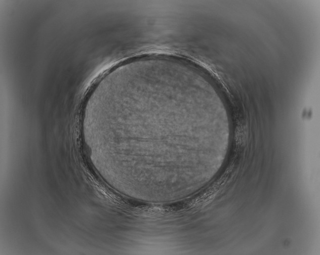 X0000096641359200803041117