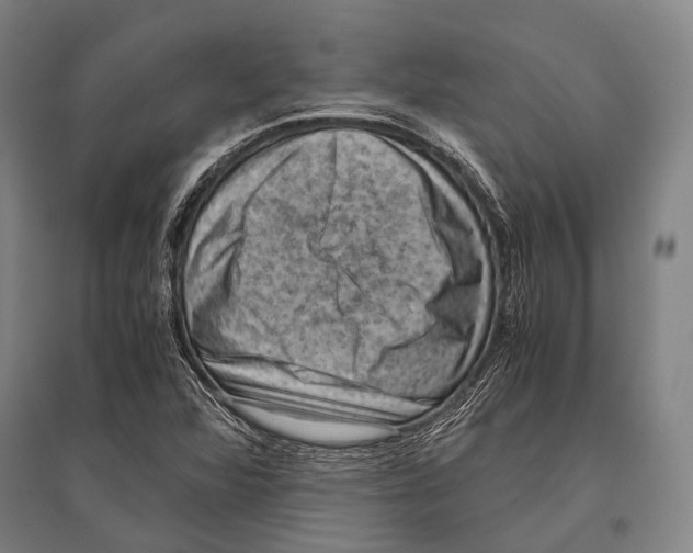 X0000096641360200803041117