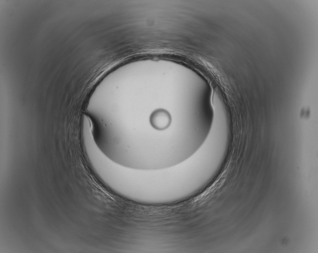 X0000096641361200803041117