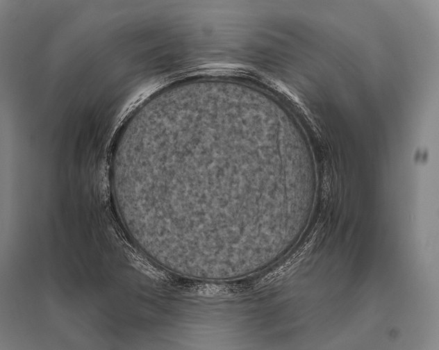 X0000096641362200803041117