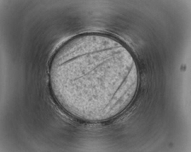 X0000096641363200803041117