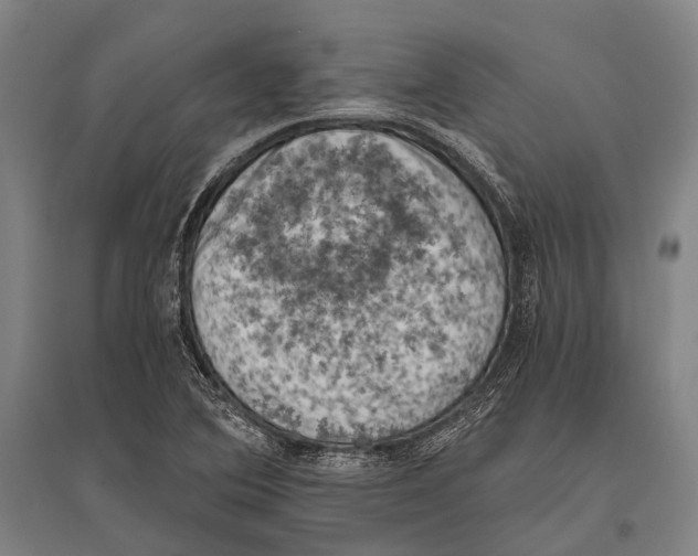 X0000096641364200803041117