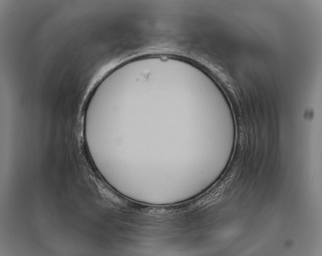 X0000096641366200803041117