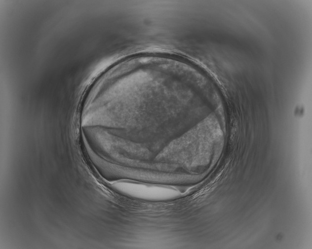 X0000096641367200803041117