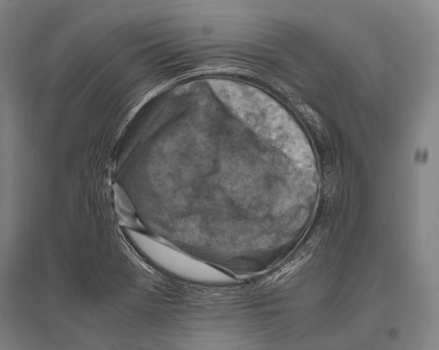 X0000096641369200803041117