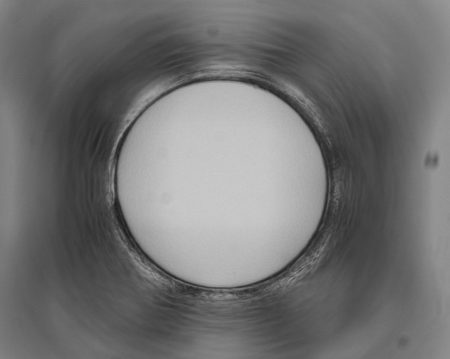 X0000096641370200803041117