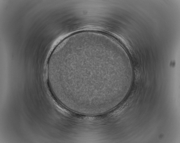 X0000096641371200803041117